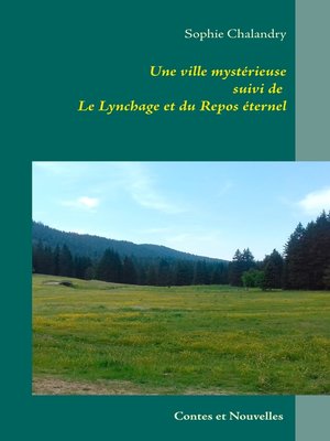 cover image of Une ville mystérieuse
